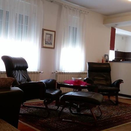 Apartment Krsmanovic Arandjelovac Bagian luar foto